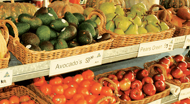 Supply Jervis Bay - Brisbane Tourism 2