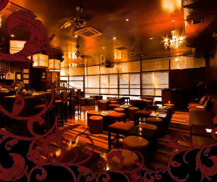 Hippo Lounge Bar - Brisbane Tourism