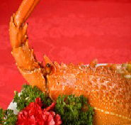 Marigold - Tourism Brisbane