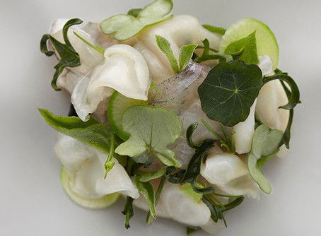 Quay - Brisbane Tourism 1