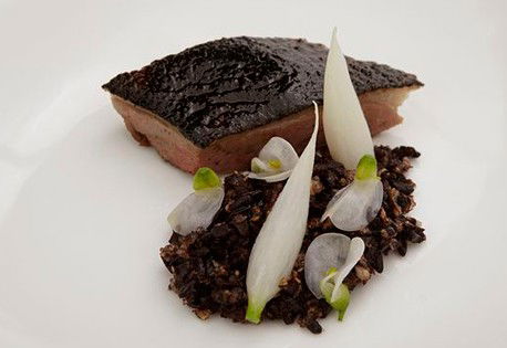 Quay - Brisbane Tourism 2