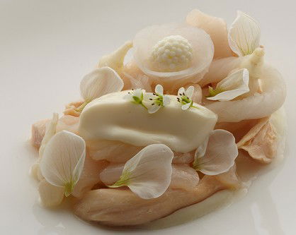 Quay - Brisbane Tourism 4