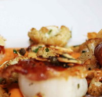 MoVida Sydney - Brisbane Tourism