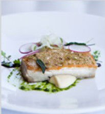 PJ's Irish Sports Bar & Bistro @ The Criterion Hotel - Tourism Brisbane 0