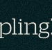 Dumpling Republic - Tourism Brisbane