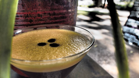 Viva La Vida Wine & Tapas Bar - Brisbane Tourism 2