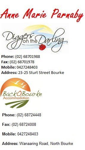 Back O' Bourke Motel - Tourism Brisbane 7