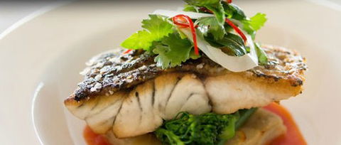 Orso Bayside Restaurant - Tourism Brisbane 1