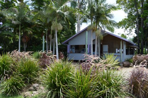 Wongaling Beach QLD Tourism Brisbane