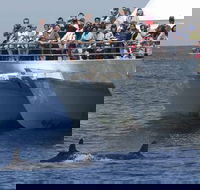 MoonshadowTQC Cruises - Brisbane Tourism