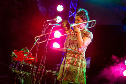 Agnes Blues, Roots And Rock Festival - Tourism Brisbane 2