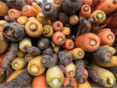 Alphington Farmers' Market - Brisbane 4u 2