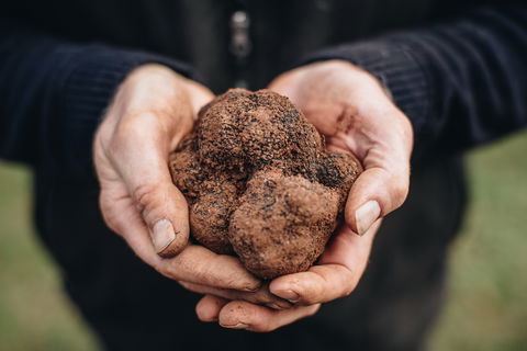 A Taste Of Truffles - Brisbane 4u 0