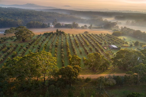 A Taste Of Truffles - Brisbane 4u 1
