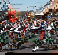 Australian Celtic Festival - Tourism Brisbane