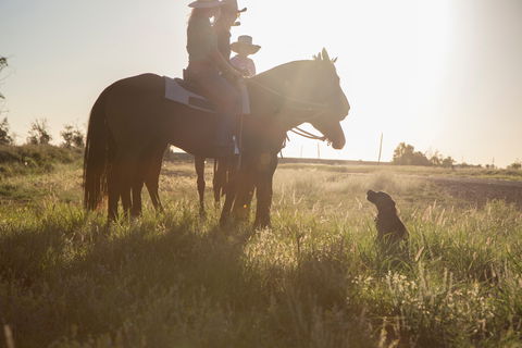 Balonne Cutting Horse Futurity - Tourism Brisbane 0