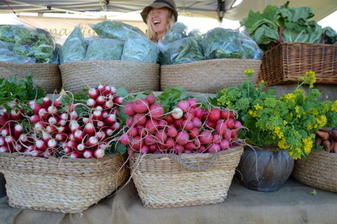 Berry Farmers' Market - Tourism Brisbane 0