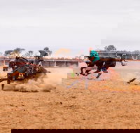Birdsville Campdraft  Rodeo and Bronco Branding - Tourism Brisbane