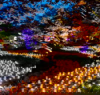 Canberra Nara Candle Festival - Tourism Brisbane