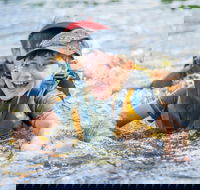 Cave Hill Creek Summer Camp - Tourism Brisbane