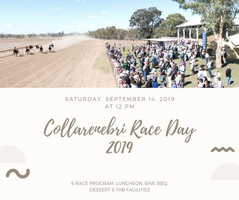 Collarenebri Races - Tourism Brisbane 0