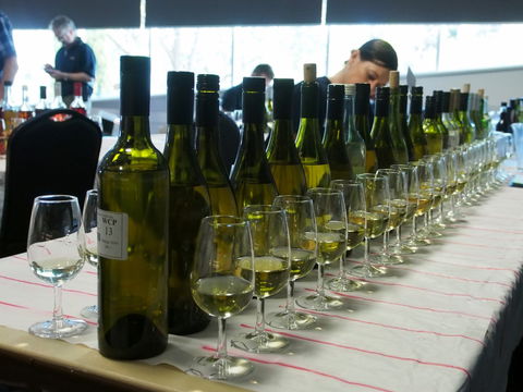Eltham And District Wine Guild Annual Wine Show - 51st Annual Show - Tourism Brisbane 1
