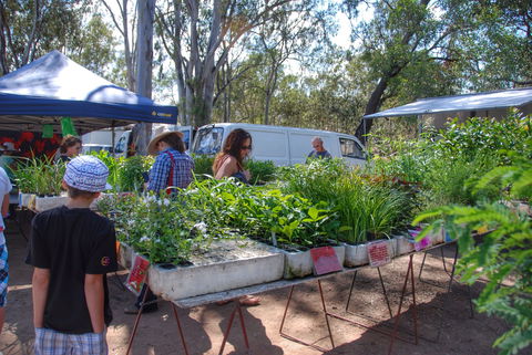 Fernvale Country Markets - Tourism Brisbane 1