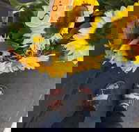 Friday Forage - Tourism Brisbane