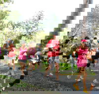 Gladstone Weekly Parkrun - Tourism Brisbane
