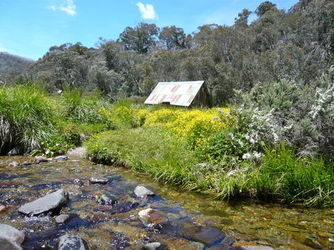 Hedonistic Hiking's Falls Creek To Hotham - Brisbane 4u 0