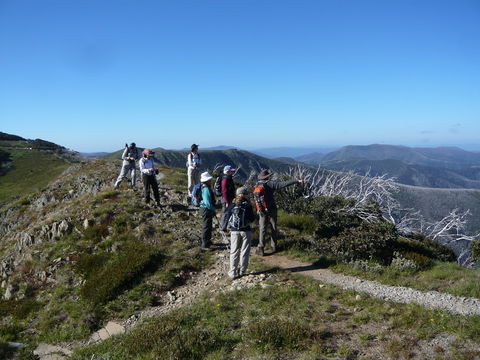 Hedonistic Hiking's Falls Creek To Hotham - Brisbane 4u 1