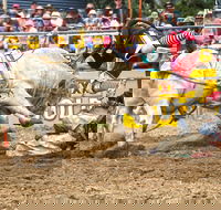 Jindabyne's Man From Snowy River Rodeo - Tourism Brisbane