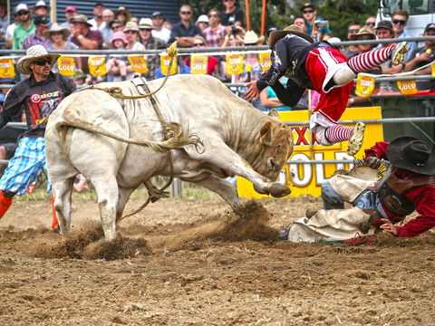 Jindabyne's Man From Snowy River Rodeo - Tourism Brisbane 0