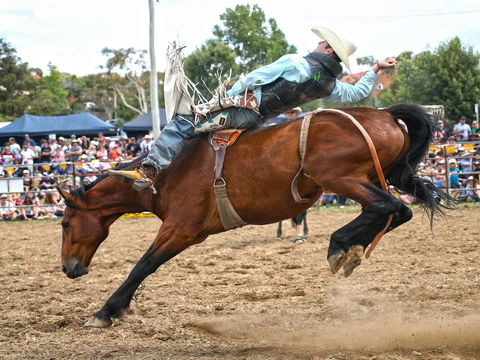 Jindabyne's Man From Snowy River Rodeo - Tourism Brisbane 1