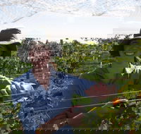 Kingsdale Wines - Cellar Door Wine Tastings - Brisbane Tourism