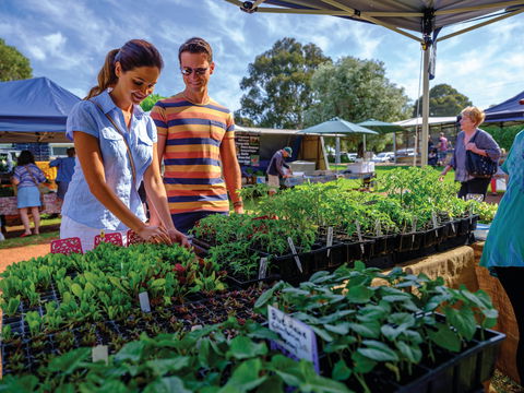 Margaret River Farmers Market - Brisbane Tourism 1
