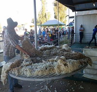Narrabri Show - Tourism Brisbane