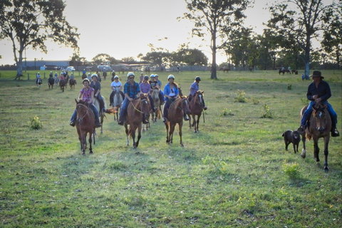 Night Horse Ride And Dinner - Tourism Brisbane 1
