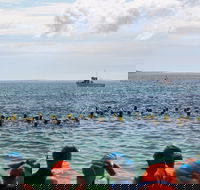 Nowra Toyota triHusky Huskisson Triathlon Festival Little Husky - Brisbane 4u