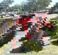 Oil Steam and Kerosene Family Fun Day - Tourism Brisbane