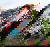 Pambula Show - Tourism Brisbane