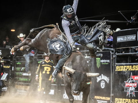 PBR Hawkesbury Stampede - Tourism Brisbane 0
