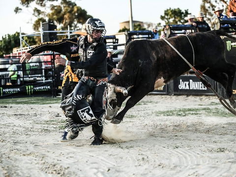 PBR Hawkesbury Stampede - Tourism Brisbane 2