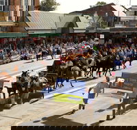 Scone Horse Festival - Tourism Brisbane