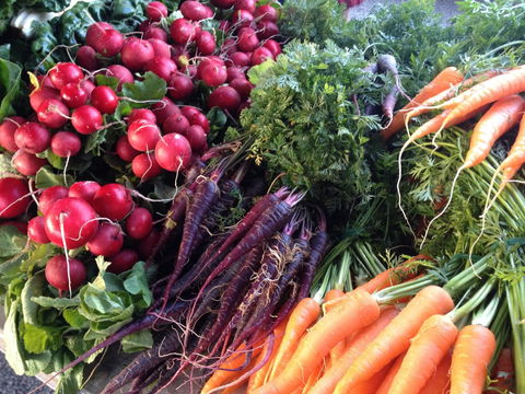 Stirling Farmers Market - Brisbane Tourism 1