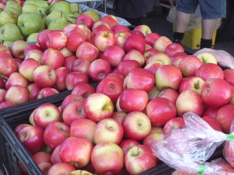 Stirling Farmers Market - Brisbane Tourism 2