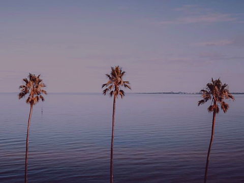 Sunset Streaming Live DJ Streams - Brisbane Tourism 0