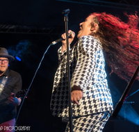 Wingham Akoostik Festival - Tourism Brisbane