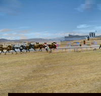 Adaminaby Cup Race Day - Tourism Brisbane
