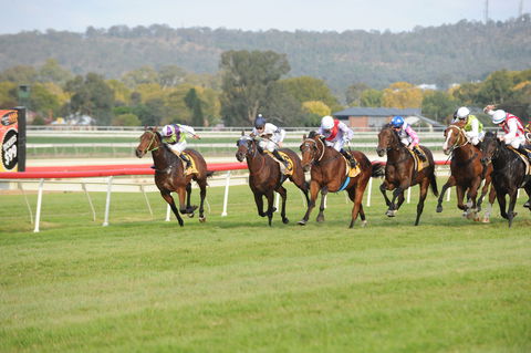 Aggies Race Day - Brisbane 4u 0